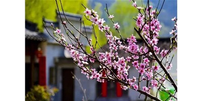 陽春三月，臺群精機一大波展會即將來襲，您準(zhǔn)備好了嗎？