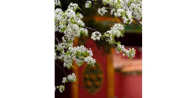 【展會(huì)資訊】臺(tái)群精機(jī)5月展會(huì)一覽，等您來(lái)參觀！